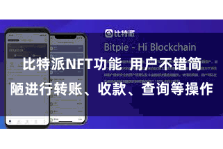 比特派NFT功能  用户不错简陋进行转账、收款、查询等操作
