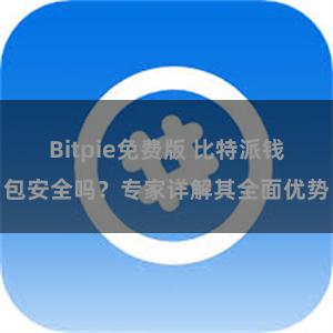 Bitpie免费版 比特派钱包安全吗？专家详解其全面优势