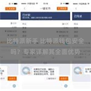 比特派新手 比特派钱包安全吗？专家详解其全面优势