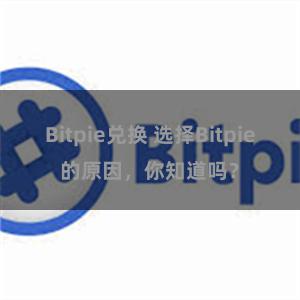 Bitpie兑换 选择Bitpie的原因，你知道吗？