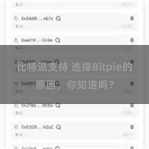 比特派支持 选择Bitpie的原因，你知道吗？