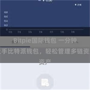 Bitpie国际钱包 一分钟上手比特派钱包，轻松管理多链资产