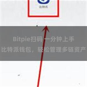 Bitpie扫码 一分钟上手比特派钱包，轻松管理多链资产