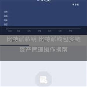 比特派私钥 比特派钱包多链资产管理操作指南