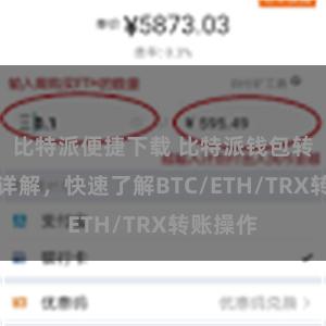 比特派便捷下载 比特派钱包转账教程详解，快速了解BTC/ETH/TRX转账操作