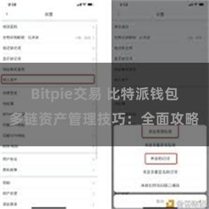 Bitpie交易 比特派钱包多链资产管理技巧：全面攻略