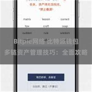 Bitpie网络 比特派钱包多链资产管理技巧：全面攻略