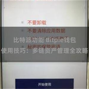 比特派功能 Bitpie钱包使用技巧：多链资产管理全攻略