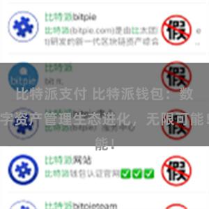 比特派支付 比特派钱包：数字资产管理生态进化，无限可能！