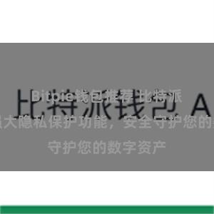 Bitpie钱包推荐 比特派钱包：强大隐私保护功能，安全守护您的数字资产