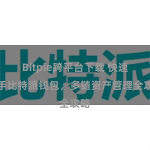 Bitpie跨平台下载 快速上手比特派钱包，多链资产管理全攻略