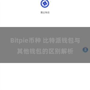 Bitpie币种 比特派钱包与其他钱包的区别解析