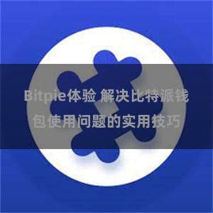 Bitpie体验 解决比特派钱包使用问题的实用技巧