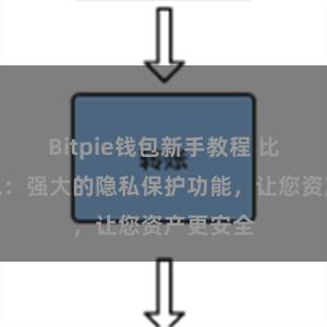 Bitpie钱包新手教程 比特派钱包：强大的隐私保护功能，让您资产更安全