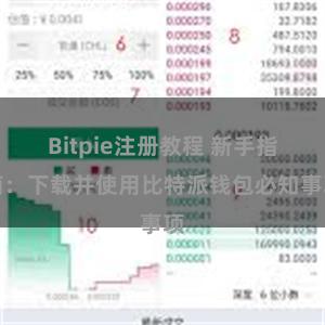 Bitpie注册教程 新手指南：下载并使用比特派钱包必知事项