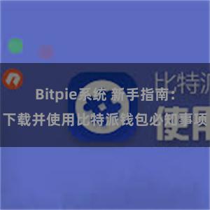 Bitpie系统 新手指南：下载并使用比特派钱包必知事项