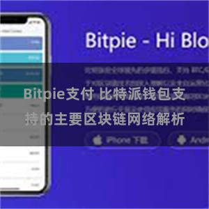 Bitpie支付 比特派钱包支持的主要区块链网络解析