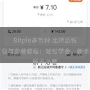 Bitpie多币种 比特派钱包下载与安装教程：轻松学会，新手必看