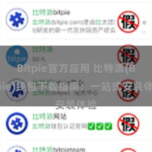 Bitpie官方应用 比特派(Bitpie)钱包下载指南：一站式安装体验