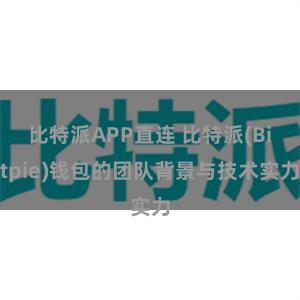 比特派APP直连 比特派(Bitpie)钱包的团队背景与技术实力