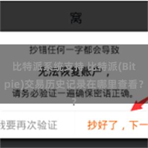 比特派系统支持 比特派(Bitpie)交易历史记录在哪里查看？