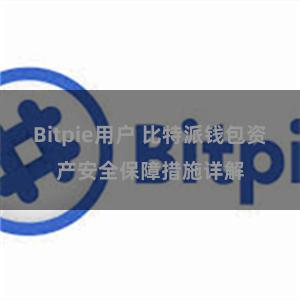 Bitpie用户 比特派钱包资产安全保障措施详解