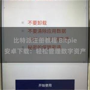比特派注册教程 Bitpie安卓下载：轻松管理数字资产