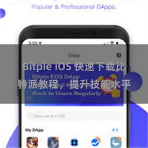 Bitpie iOS 快速下载比特派教程，提升技能水平