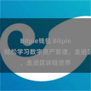 Bitpie钱包 Bitpie教程下载：轻松学习数字资产管理，走进区块链世界