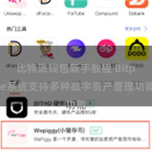 比特派钱包新手教程 Bitpie系统支持多种数字资产管理功能