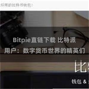 Bitpie直链下载 比特派用户：数字货币世界的精英们