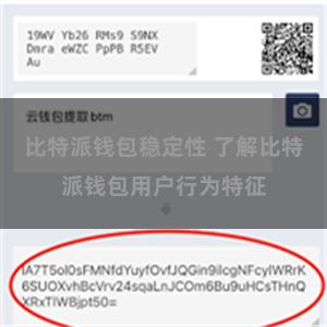 比特派钱包稳定性 了解比特派钱包用户行为特征