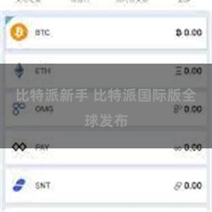 比特派新手 比特派国际版全球发布