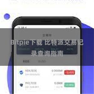 Bitpie下载 比特派交易记录查询指南