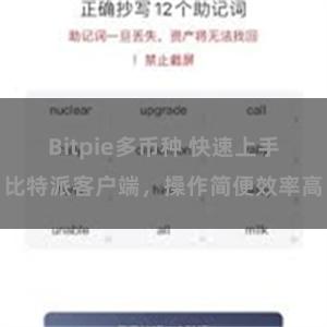 Bitpie多币种 快速上手比特派客户端，操作简便效率高