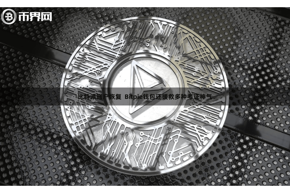 比特派账户恢复  Bitpie钱包还援救多种考证神气