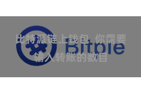 比特派链上钱包  你需要输入转账的数目