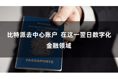 比特派去中心账户  在这一翌日数字化金融领域